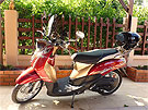 thaihaus30